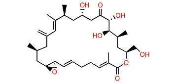 Amphidinolide H